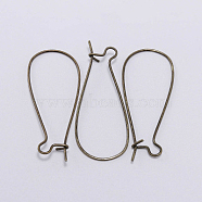 Iron Hoop Earring Findings, Earring Clasps, Antique Bronze, 25x12mm, 50pcs/bag(IFIN-CJC0001-04AB)