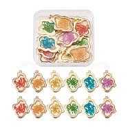 12Pcs 6 Colors Epoxy Resin Pendants, with Dried Flower Inside and Light Gold Plated Alloy Open Back Bezel, Nuggets, Mixed Color, 35x26x1.5mm, Hole: 1.6mm, 2pcs/color(RESI-CD0001-05)