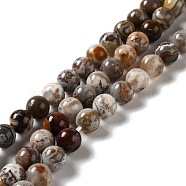 Natural Mexican Agate Beads Strands, Round, 8mm, Hole: 1mm, about 49pcs/strand, 15.35''(39cm)(G-E578-02B)