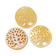 Natural Yellow Shell Cabochons, Hollow Flat Round, Tree, 16x2mm(SSHEL-N038-02C)