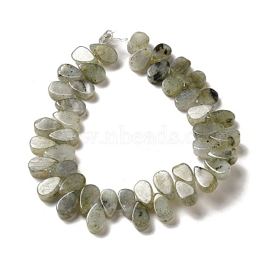 Natural Labradorite Beads Strands(G-B064-B62)-3