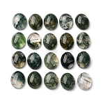 Natural Moss Agate Cabochons, Grade A, Oval, 10x8x4mm(X-G-H314-01)