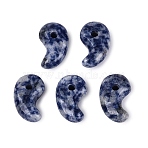 Natural Blue Spot Jasper Pendants, Others, 21.5~22.5x12.5~14x6.5~8.5mm, Hole: 3~3.5mm(G-S294-07B-14)