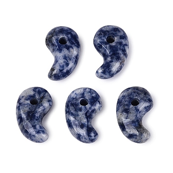 Natural Blue Spot Jasper Pendants, Others, 21.5~22.5x12.5~14x6.5~8.5mm, Hole: 3~3.5mm