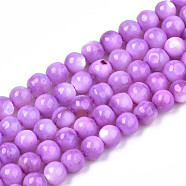 Natural Freshwater Shell Beads Strands, Dyed, Round, Orchid, 4mm, Hole: 0.8mm, about 97~99pcs/strand, 14.88 inch~15.16 inch(37.8~38.5cm)(SHEL-N003-24-B04)