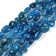 Natural Apatite Beads Strands, Tumbled Stone, Grade A, Nuggets, 6~8mm, Hole: 0.8mm, about 45~47pcs/strand, 15.7 inch(40cm)(G-E483-41A-01)