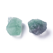 Rough Raw Natural Fluorite Beads, Undrilled/No Hole Beads, Nuggets, 20~30x39~42x24~26mm, 100g/bag(G-WH0003-04)