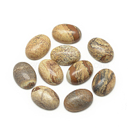 Natural Picture Jasper Cabochons, Oval, 18x13x5mm(G-R415-13x18-42)