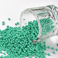 11/0 Grade A Round Glass Seed Beads, Baking Paint, Aquamarine, 2.3x1.5mm, Hole: 1mm, about 48500pcs/pound(SEED-N001-A-1030)