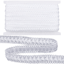 Polyester Centipede Braided Lace Ribbon, White, 3/4 inch(18mm)(OCOR-WH20012-25B)