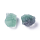 Rough Raw Natural Fluorite Beads(G-WH0003-04)-1
