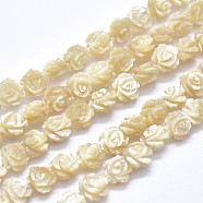 Shell Bead Strands, Double-sided Rose, Blanched Almond, 12~12.5x4~5.5mm, Hole: 1mm, about 33pcs/strand, 14.96 inch(38cm)(SSHEL-P015-01B-12mm)