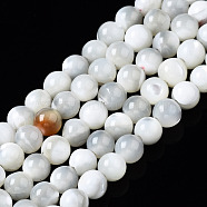 Natural Trochid Shell/Trochus Shell Beads Strands, Round, Bleach, Seashell Color, 3mm, Hole: 0.5mm, about 138~140pcs/strand, 15.55 inch(39.5cm)(SSHEL-S266-023A-01)
