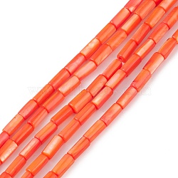 Natural Freshwater Shell Dyed Beads Strands, Column, Coral, 8x4mm, Hole: 0.8mm, about 46pcs/strand, 14.96''(38cm)(SHEL-M018-11-01)