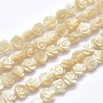 Shell Bead Strands, Double-sided Rose, Blanched Almond, 12~12.5x4~5.5mm, Hole: 1mm, about 33pcs/strand, 14.96 inch(38cm)