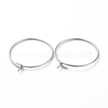 316 Surgical Stainless Steel Hoop Earring Findings(X-STAS-J025-01B-P)-2
