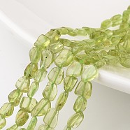 Natural Peridot Beads Strands, Chips, 6~12x5~8x4~6mm, Hole: 1mm, about 15.7 inch(G-M347-16)