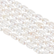 1 Strand Grade A Natural Cultured Freshwater Pearl Beads Strands, Idea for Mother's Day Gift, Rice Beads, White, 4~5mm, Hole: 0.8mm, about 34~43pcs/strand, 13.19 inch(33.5cm)(PEAR-GO0001-08)