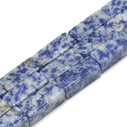 Natural Blue Spot Jasper Beads Strands, Cuboid, 20~21x8~8.5x8~8.5mm, Hole: 1mm, about 19pcs/strand, 15.5 inches(G-S300-47-8x20mm)