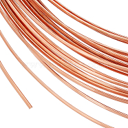 Copper Craft Wire, Half Round, Raw(Unplated), 1.6x0.6mm, about 19.69 Feet(6m)/Roll(CWIR-WH0001-B02)
