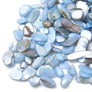 Shell Beads, No Hole Beads, Dyed, Chip, Cornflower Blue, 1~15x1~15x0.5~5mm(X-SHEL-R020-09)