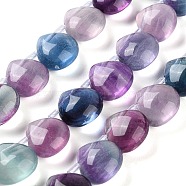 Natural Fluorite Beads Strands, Top Drilled, Teardrop, 10.5x10.5x6mm, Hole: 0.9mm, about 20pcs/strand, 7.48 inch(19cm)(G-G116-A01-02)