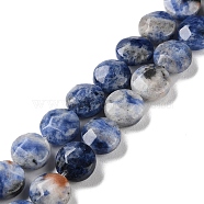 Natural Blue Spot Jasper Beads Strands, Faceted, Flat Round, 10~10.5x4.5~5.5mm, Hole: 1.2mm, about 20pcs/strand, 7.80 inch(19.8cm)(G-K357-B14-01)