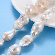 Natural Baroque Pearl Keshi Pearl Beads Strands, Cultured Freshwater Pearl, Nuggets, Seashell Color, 18~31x16~23x13~17mm, Hole: 0.6mm, about 12~13pcs/strand, 14.96~15.35 inch(38~39cm)(PEAR-S019-04B)