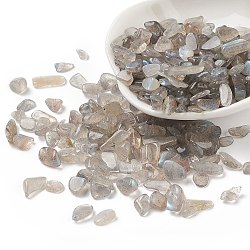 Natural Labradorite Beads, No Hole/Undrilled, Chip, 5x7x2mm(G-I304-07)