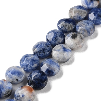 Natural Blue Spot Jasper Beads Strands, Faceted, Flat Round, 10~10.5x4.5~5.5mm, Hole: 1.2mm, about 20pcs/strand, 7.80 inch(19.8cm)