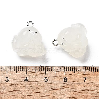 Resin Pendants(RESI-A041-01D)-3