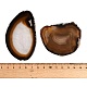 Dyed & Heated Natural Agate Slice Cabochons(GG-CBAAF67-01G)-3