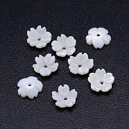 5-Petal Flower Natural Freshwater Shell Beads, 8x3mm, Hole: 1mm(SSHEL-P005-20)