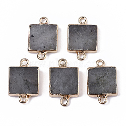 Natural Labradorite Links connectors, with Edge Golden Plated Iron Loop, Square, 20~21x12.5x3mm, Hole: 1.5mm(G-T131-11A)