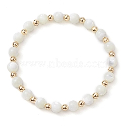 Round Natural Sea Shell Beaded Stretch Bracelets with Brass Beads for Women Men, Seashell Color, Inner Diameter: 2-1/4 inch(5.8cm), Beads: 4~6mm(BJEW-JB10278)
