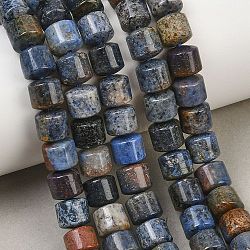 Natural Dumortierite Beads Strands, Column, 8x8.5mm, Hole: 1mm, about 49pcs/strand, 15.55''(39.5cm)(GG-CBAC4F6-A01-01A)