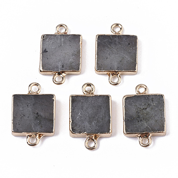 Natural Labradorite Links connectors, with Edge Golden Plated Iron Loop, Square, 20~21x12.5x3mm, Hole: 1.5mm
