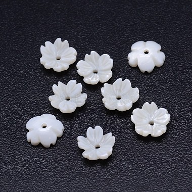 8mm Seashell Flower Freshwater Shell Beads