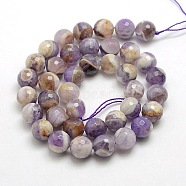 Natural Gemstone Amethyst Round Beads Strands, Faceted, 12mm, Hole: 1mm, about 32pcs/strand, 15.5 inch(G-O021-12mm-13)