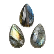 Natural Labradorite Pendants, Teardrop Charms, 30x18x6~7mm, Hole: 1.6mm(G-F760-01B-06)