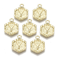 Alloy Pendants, Cadmium Free & Nickel Free & Lead Free, Hexagon with Letter, Real 18K Gold Plated, Letter.Y, 17.5x13x2mm, Hole: 2mm(PALLOY-N157-003Y-NR)