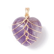 Natural Amethyst Pendants, with Light Gold Tone Copper Wire Wrapped, Heart, 26x21x16mm, Hole: 6mm(PALLOY-JF01282-01)