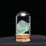 Raw Natural Fluorite Nuggets Ornaments, Glass & Wood Bell Jars Mineral Specimens Statues for Home Desktop Feng Shui Decoration, 55x35mm(PW-WG13785-17)