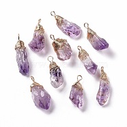 Natural Raw Amethyst Pendants, Copper Wire Wrapped Druzy Amethyst Nuggets Charms, 39~48.5x17~19.5x8.5~21mm, Hole: 5~6x4~5mm(G-C023-02)