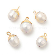 Natural Pearl Pendants, Oval Charms, with Brass Loops, White, Light Gold, 13~16x8~10x8~10mm, Hole: 1.8mm(PEAR-P004-45KCG)