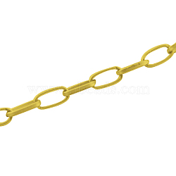 Iron Paperclip Chains, Flat Oval, Drawn Elongated Cable Chains, Unwelded, with Spool, Golden, 10x5x1.5mm, about 164.04 Feet(50m)/roll(CH-R025-10x5mm-G)