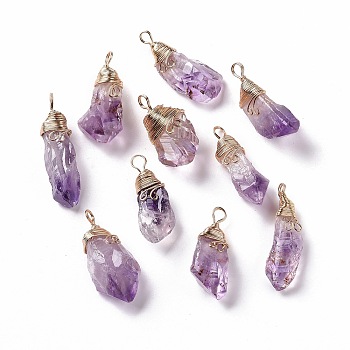 Natural Raw Amethyst Pendants, Copper Wire Wrapped Druzy Amethyst Nuggets Charms, 39~48.5x17~19.5x8.5~21mm, Hole: 5~6x4~5mm