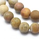 Natural Fossil Coral Beads Strands(G-I254-01B)-3