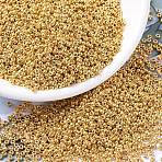MIYUKI Round Rocailles Beads, Japanese Seed Beads, 11/0, (RR1054) Galvanized Dark Gold, 11/0, 2x1.3mm, Hole: 0.8mm, about 50000pcs/pound(SEED-G007-RR1054)