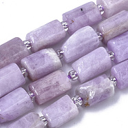 Synthetic Kunzite Beads Strands, Column, 10~11x5~8mm, Hole: 1mm, about 15~17pcs/Strand, 7.48 inch~7.87 inch(19~20cm)(G-N327-04-03)
